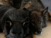 ein müdes Team!